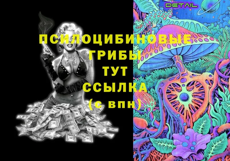 shop клад  мега как зайти  Кондрово  Галлюциногенные грибы GOLDEN TEACHER 